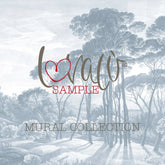 ESEMPIO CARTE DA PARATI